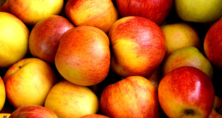 Aerial view of a bunch of red apples with yellow and orange streaks