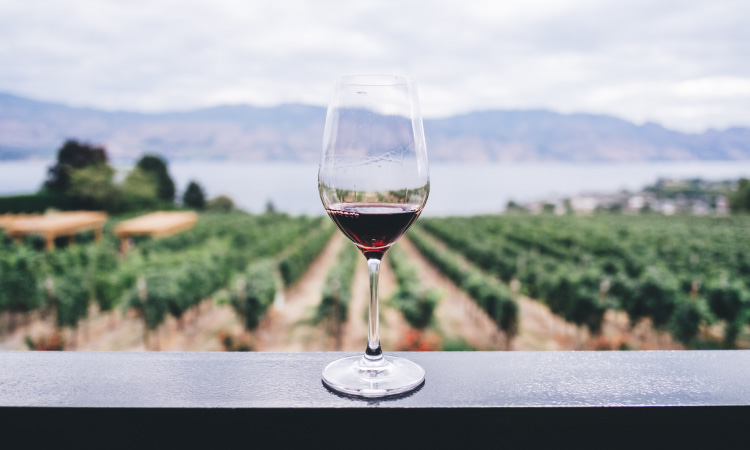 A goblet of enamel-eroding red wine sits on a ledge overlooking a grape vineyard & distant mountains