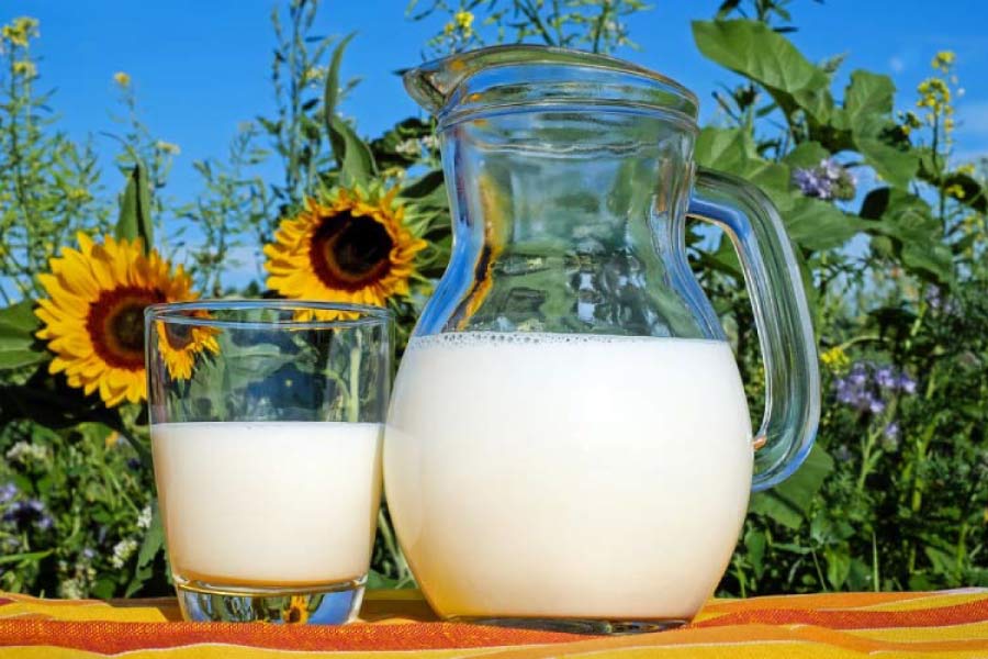 pithcher and glass of milk with sunflowers in the background